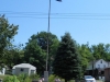 DSCN2823